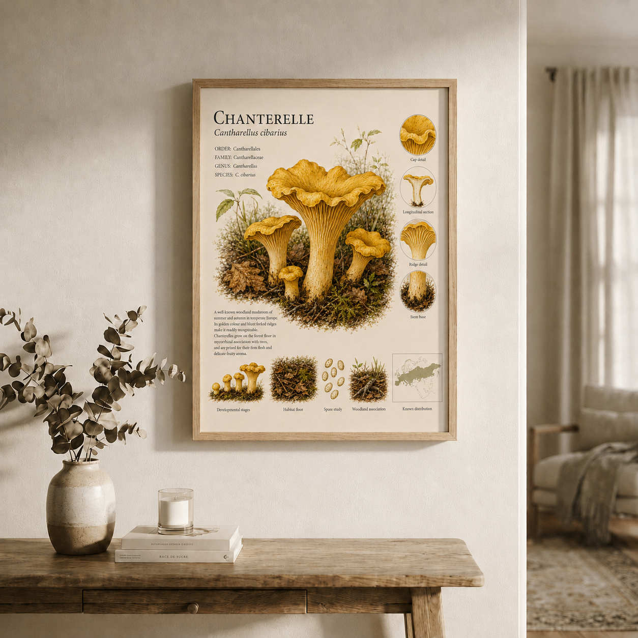 Chanterelle — Naturalist Field Plate | Printable Mushroom Wall Art