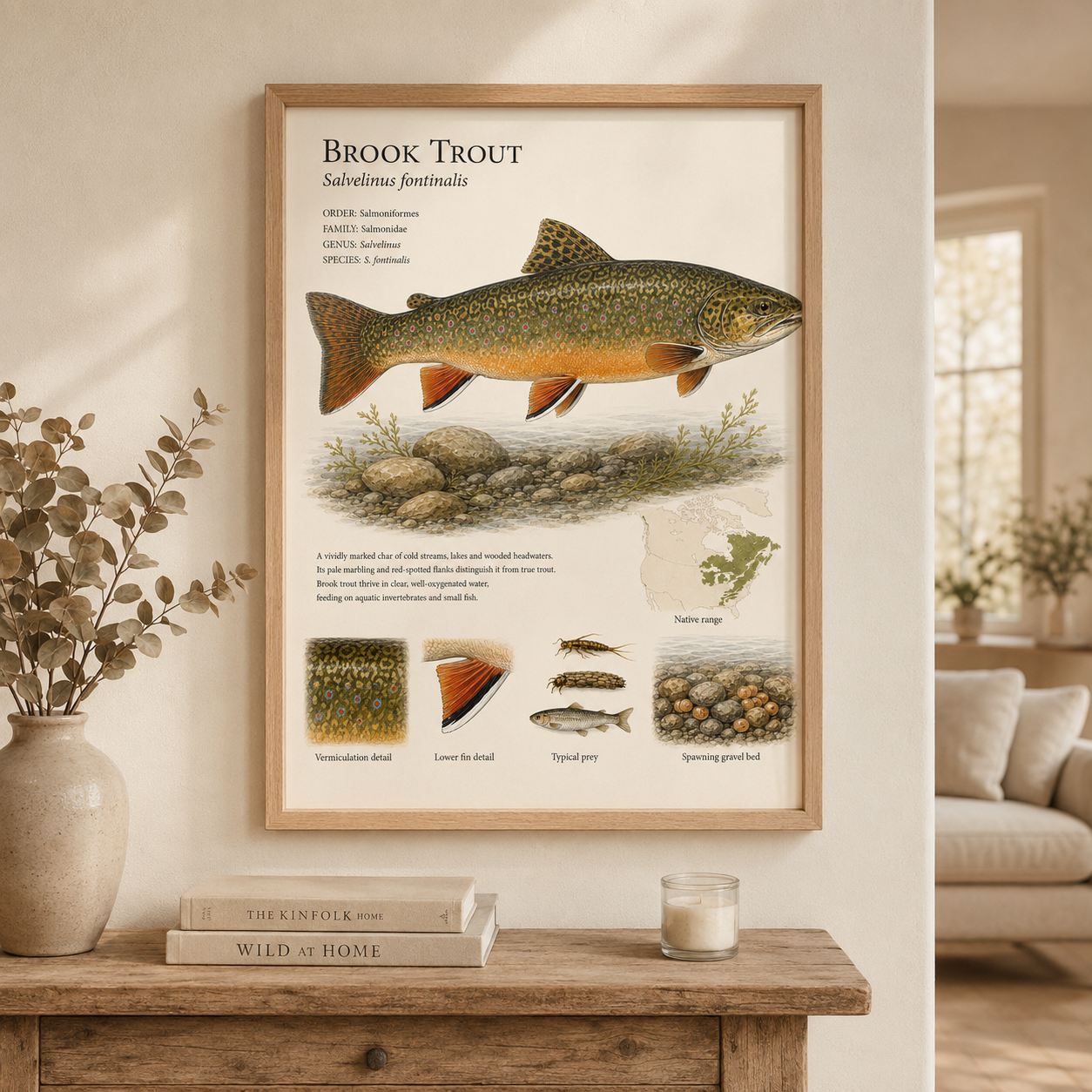 Brook Trout — Naturalist Field Plate | Printable Fish Wall Art for Anglers