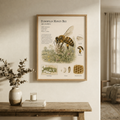 Honey Bee — Naturalist Field Plate | Printable Entomology Wall Art