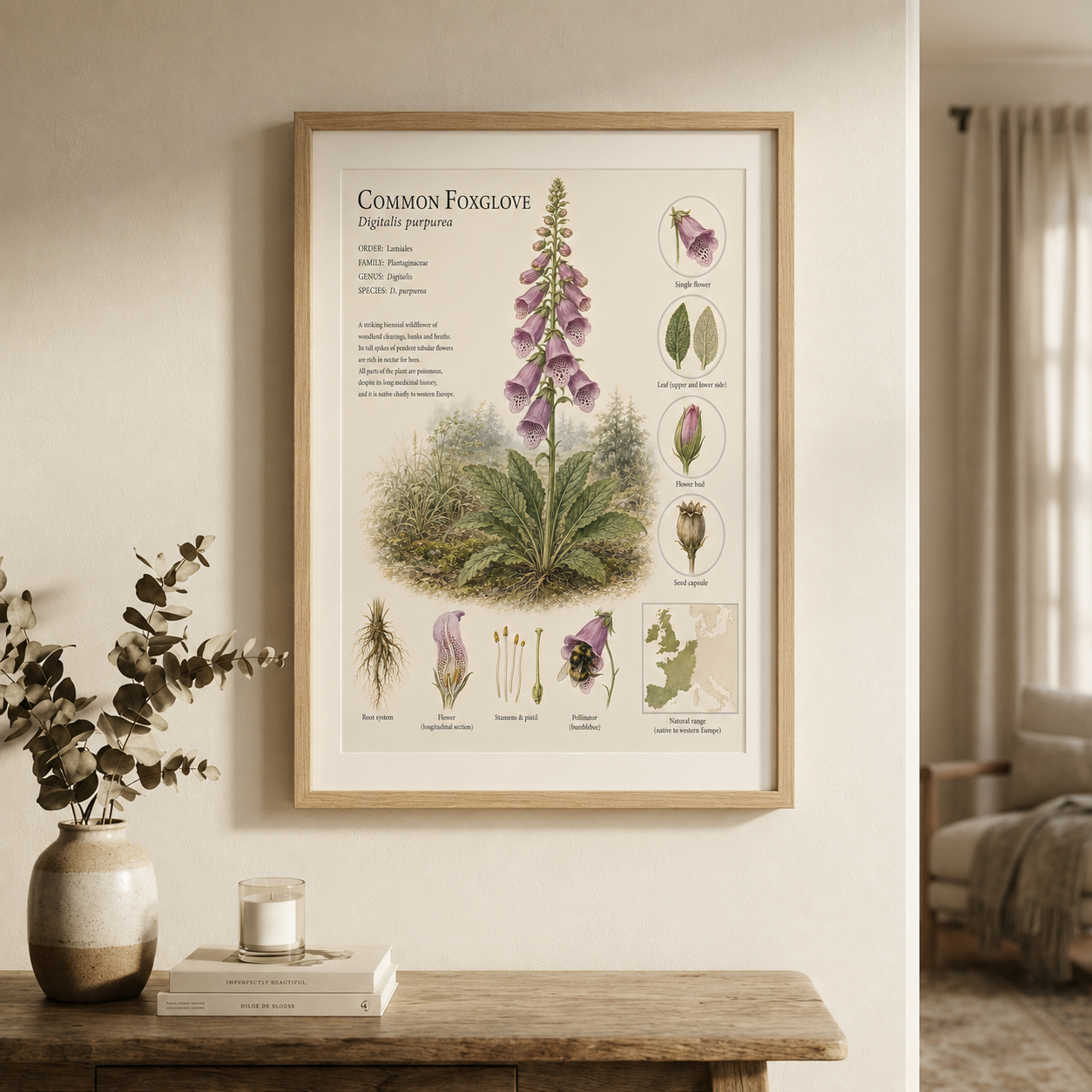 Foxglove — Naturalist Field Plate | Printable Botanical Wildflower Wall Art
