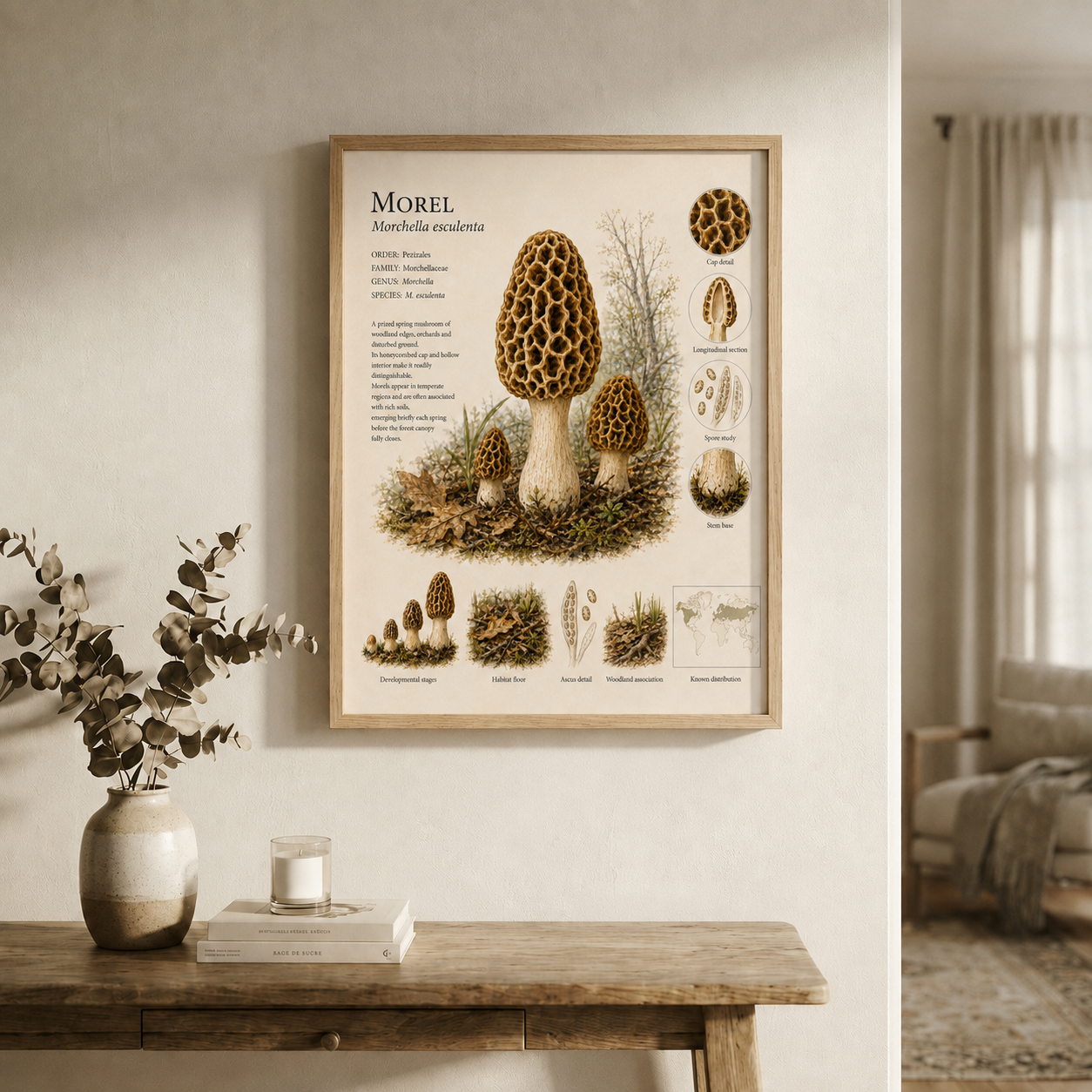 Morel — Naturalist Field Plate | Printable Mushroom Wall Art