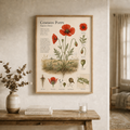 Common Poppy — Naturalist Field Plate | Printable Botanical Wildflower Wall Art