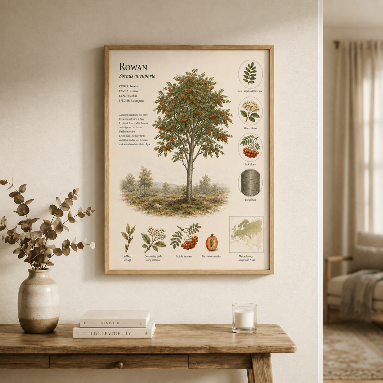 Rowan — Naturalist Field Plate | Printable Botanical Tree Wall Art