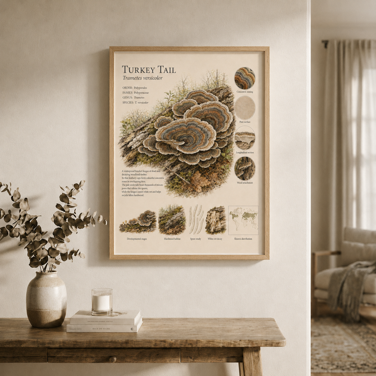 Turkey Tail — Naturalist Field Plate | Printable Mushroom Wall Art