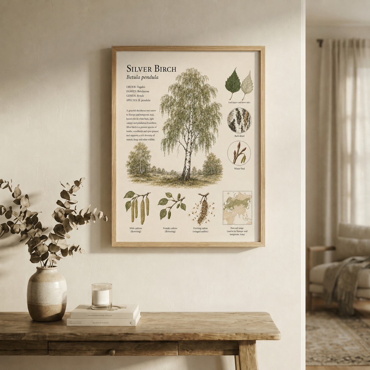 Silver Birch — Naturalist Field Plate | Printable Botanical Tree Wall Art